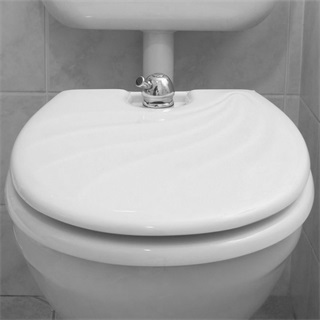 Toilette-Nett 320T WC ülőke bidé funkcióval