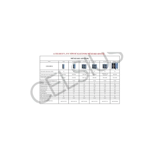 Celsius P-V40 vegyestüzelésű kazán (37kW) (300x300)