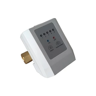 Euro-Clear BlueGuardian vezeték nélküli vízőr 3/4” RX-WWG