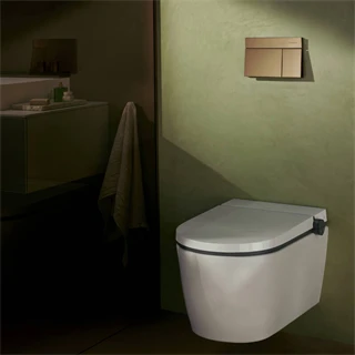 Hansgrohe iFrame Element E Öblítőlap, dual mennyiség szálcsiszolt bronz