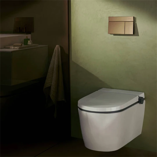 Hansgrohe iFrame Element E Öblítőlap, dual mennyiség szálcsiszolt bronz