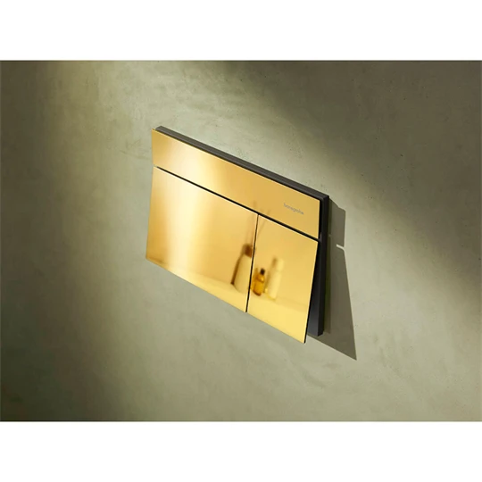 Hansgrohe iFrame Element E nyomólap WC-hez, dual mennyiség,polírozott arany