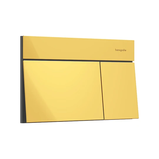 Hansgrohe iFrame Element E nyomólap WC-hez, dual mennyiség,polírozott arany