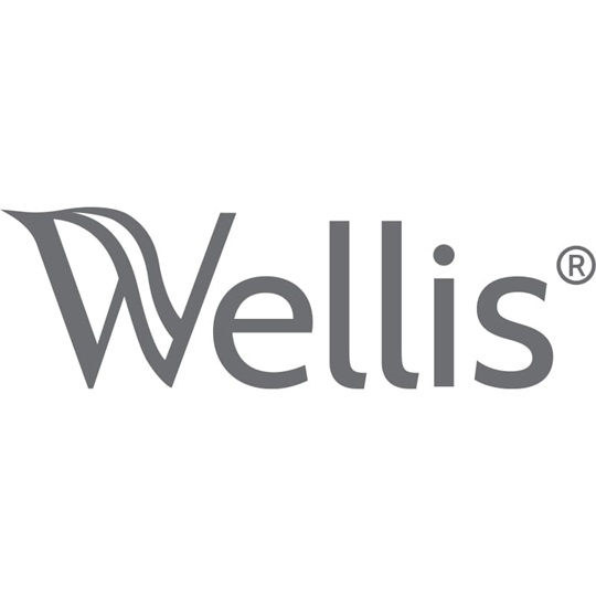 Wellis Corsica szerelőmodul fali WC-hez, 48,3x10,8x100,3 cm
