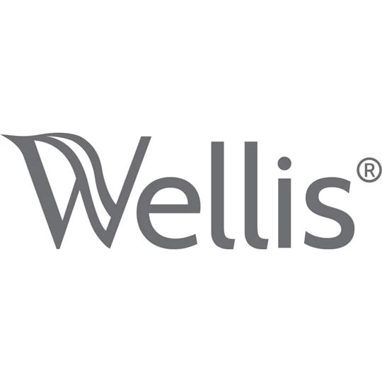 Wellis Meliora mosdó csaptelep